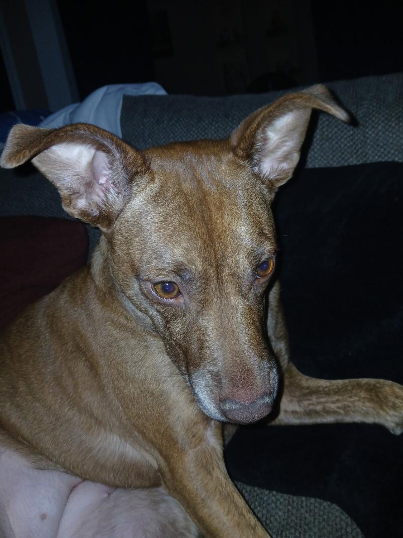 Bobalake Elsinore  Ca thumbnail 2