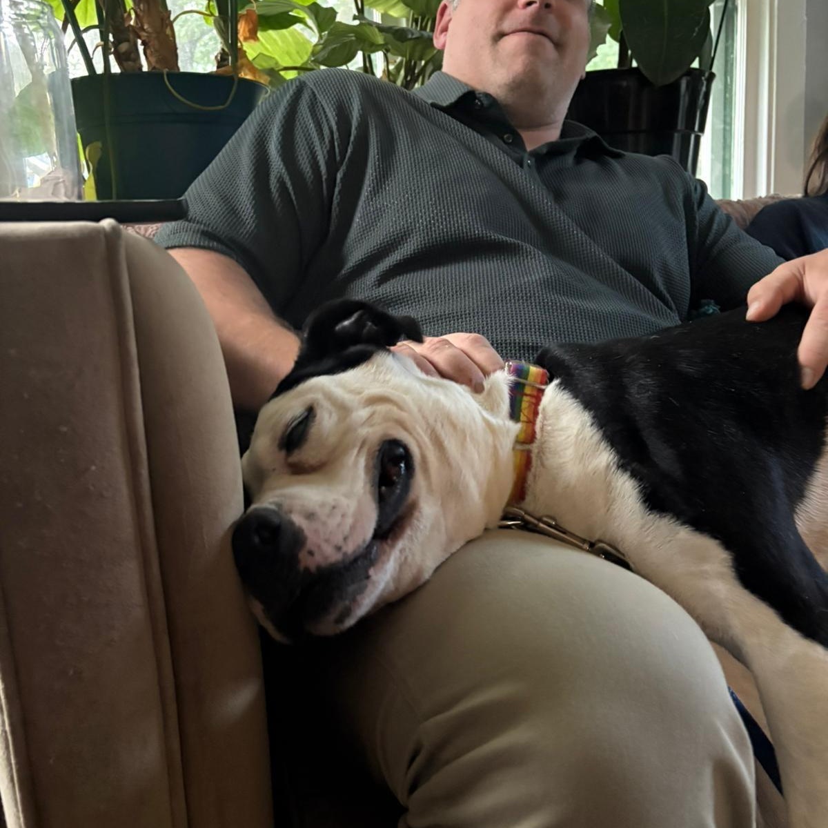 Jerry — thumbnail 2