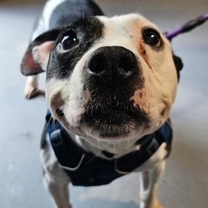 Jerry — thumbnail 3