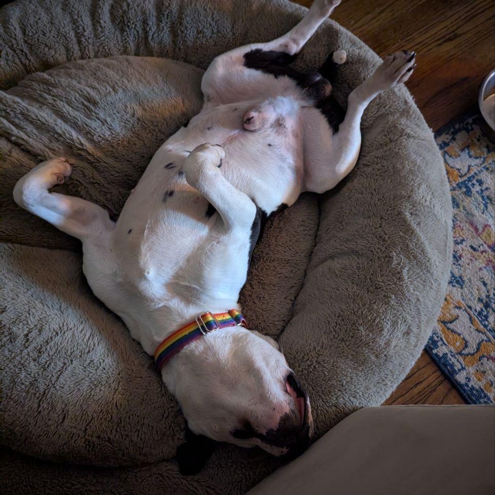 Jerry — thumbnail 4