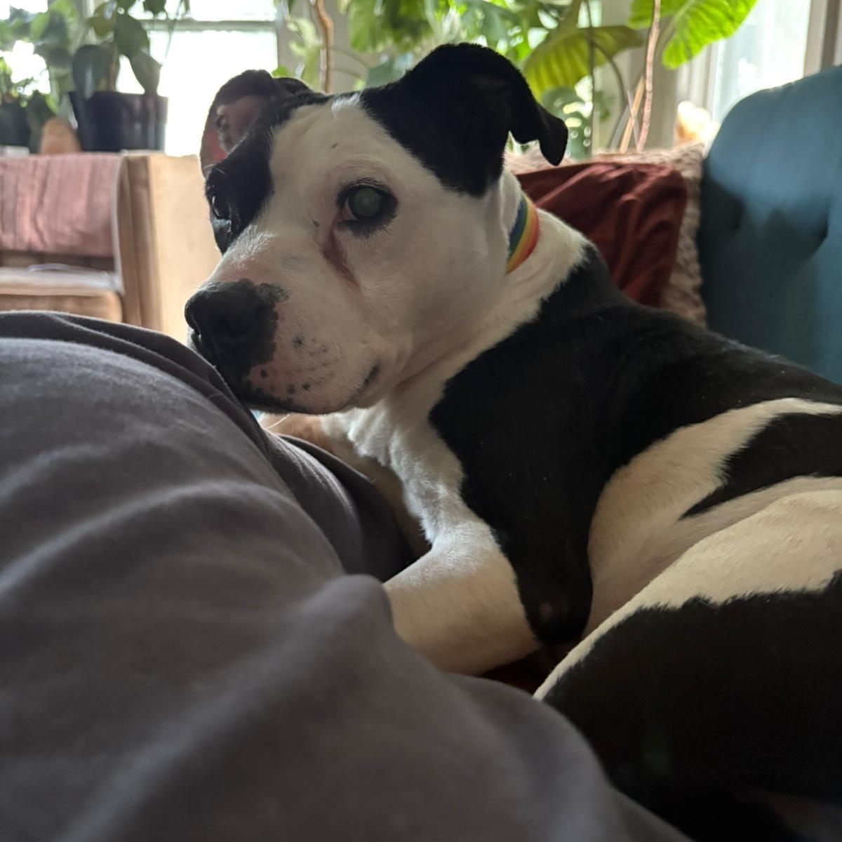 Jerry — thumbnail 5