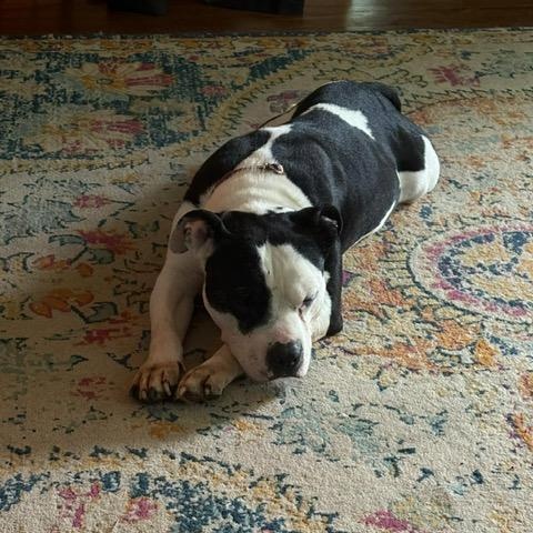 Jerry — thumbnail 6