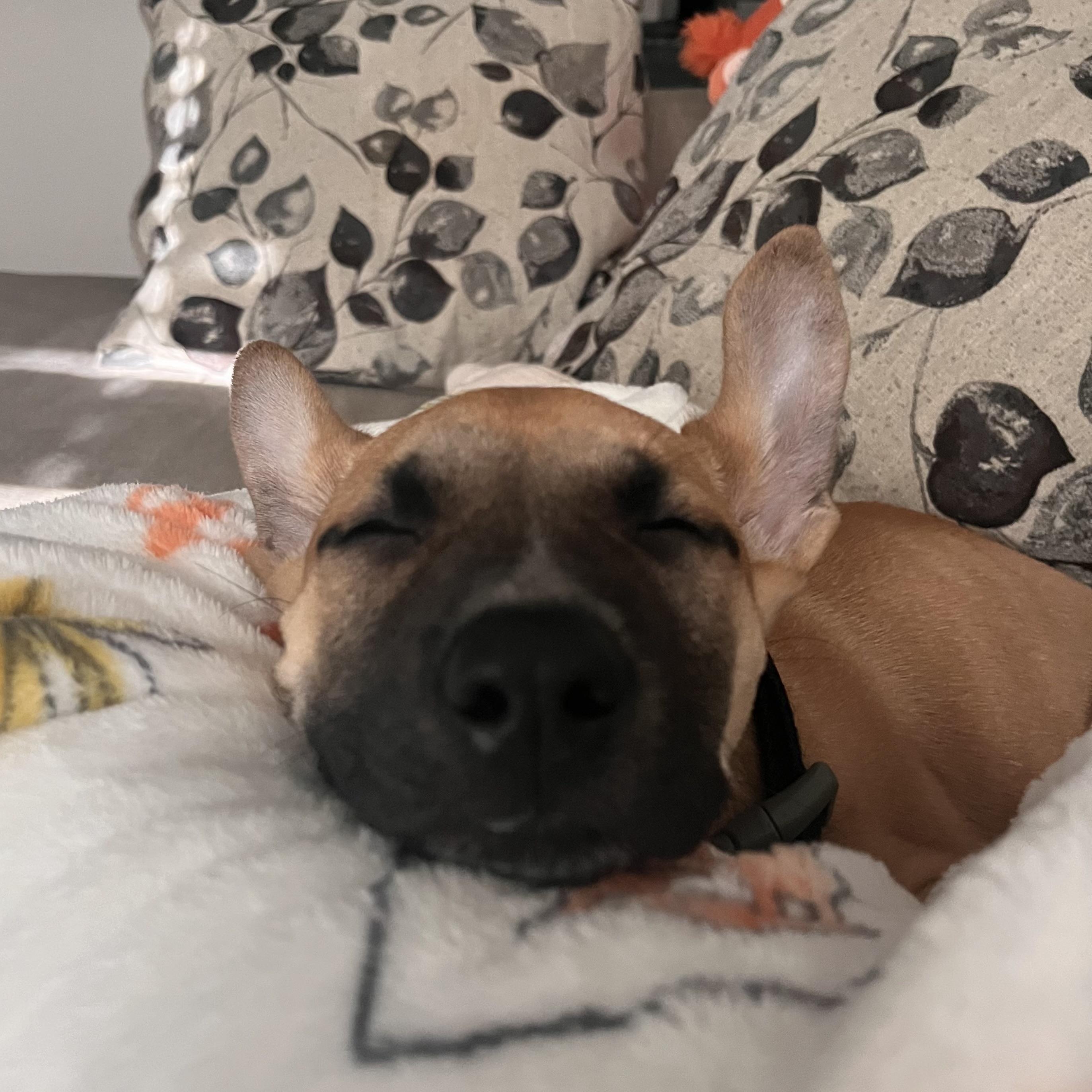 Impending Snowstorm — thumbnail 3