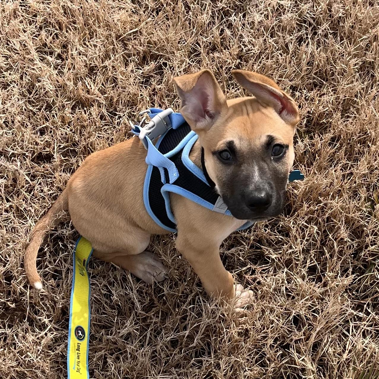 Impending Snowstorm — thumbnail 4