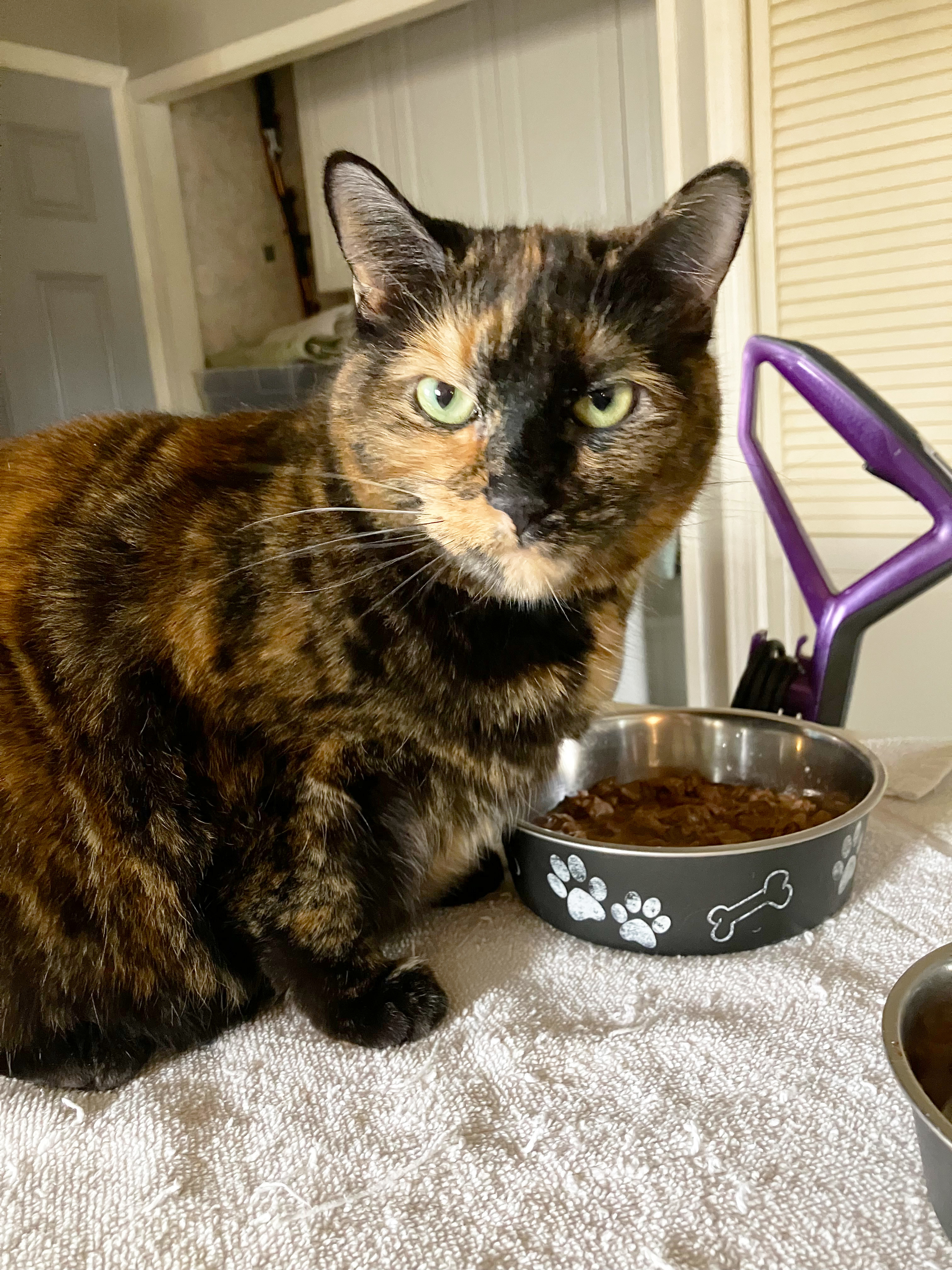 Miss Cleo photo 4