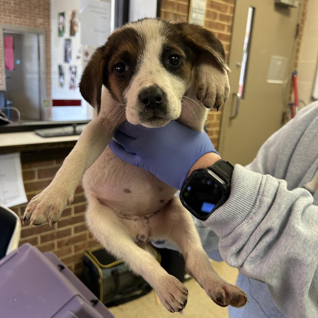 Shania — thumbnail 2