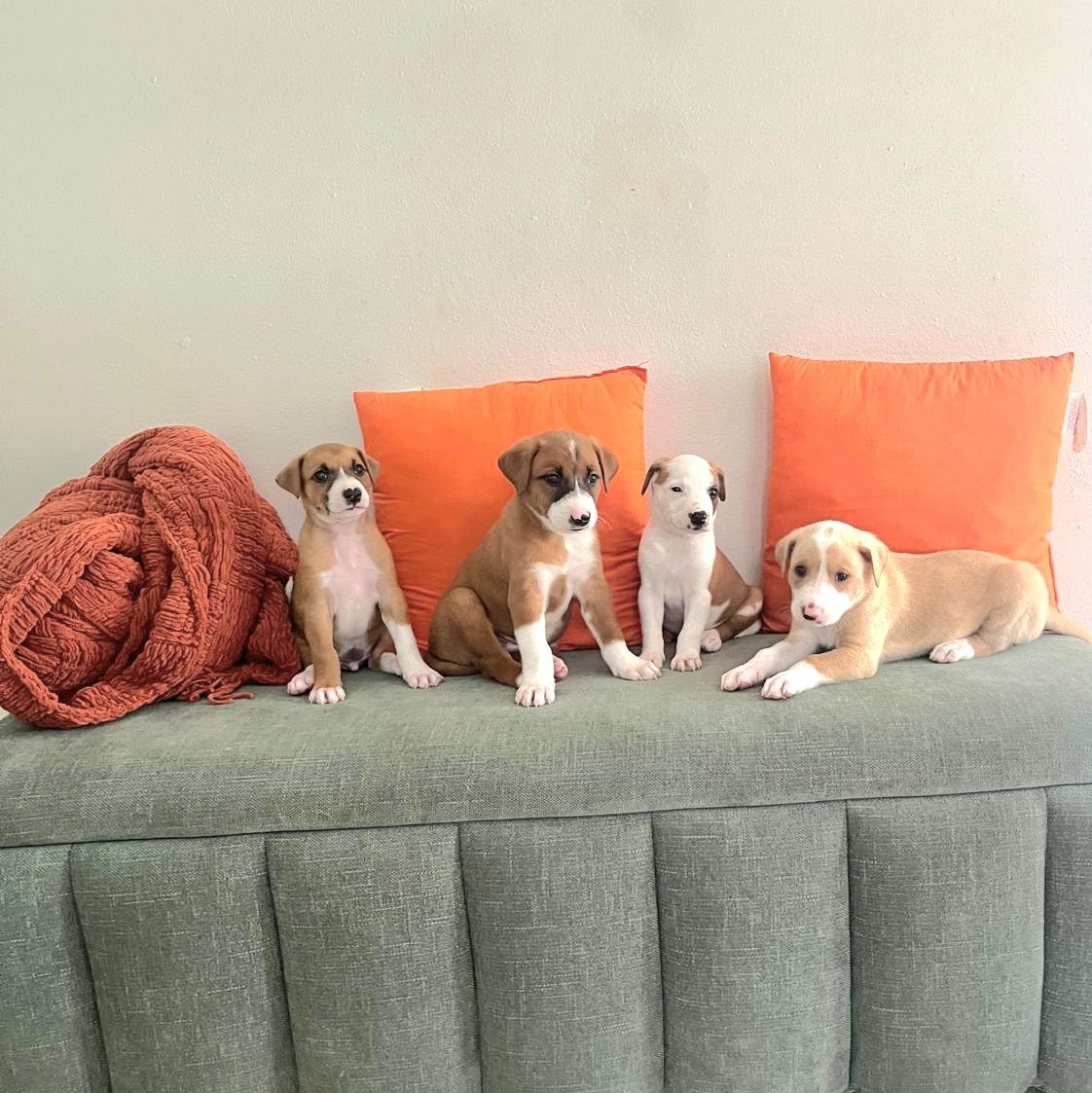 B.m.w. "your Everyday Love." thumbnail 2