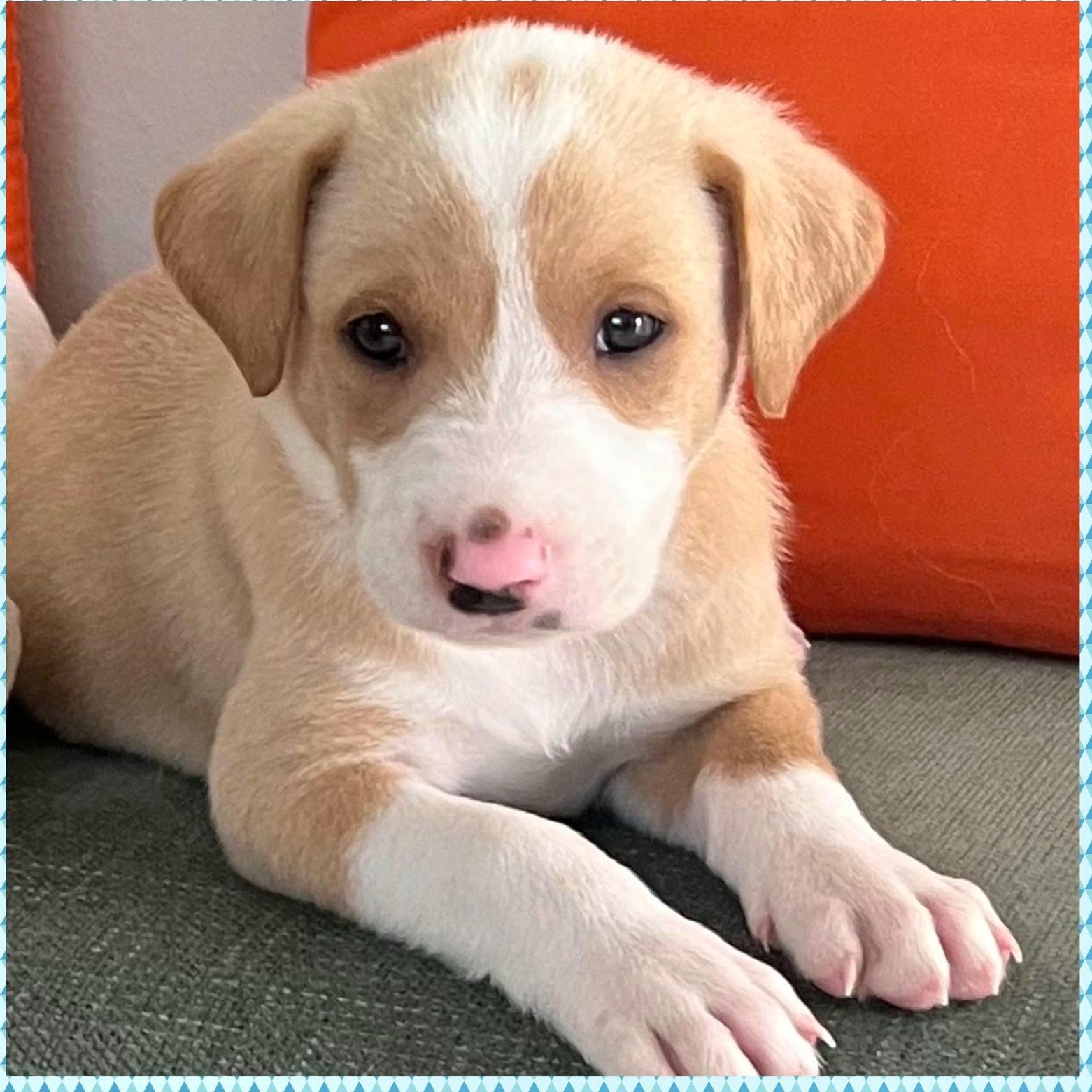 B.m.w. "your Everyday Love." thumbnail 3