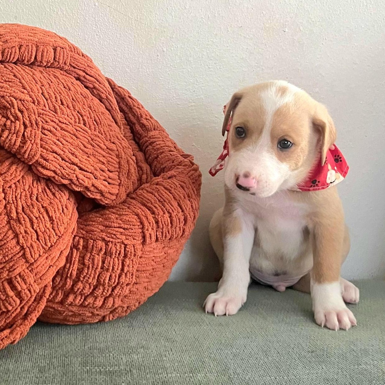 B.m.w. "your Everyday Love." thumbnail 4