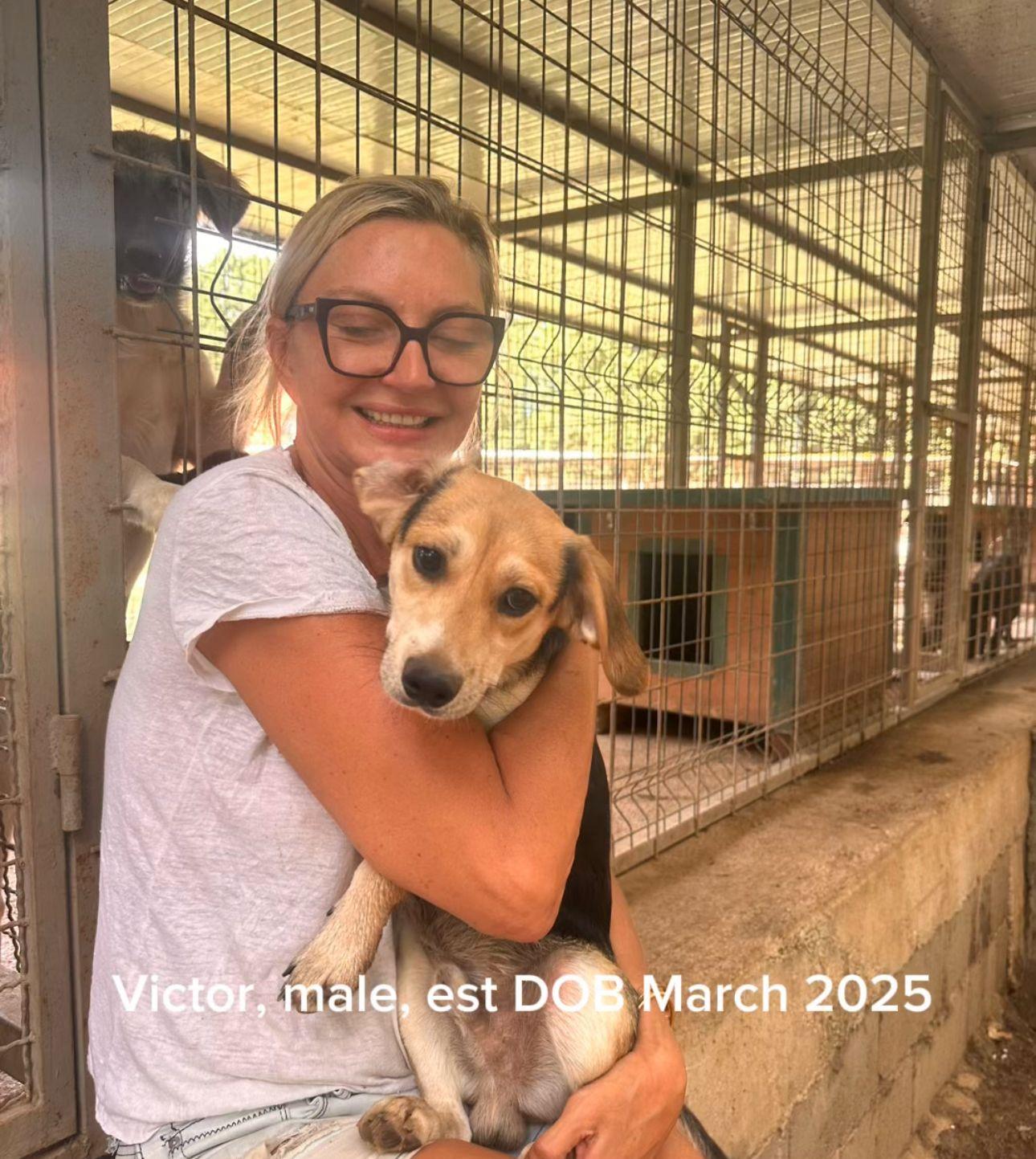 Victor — thumbnail 2