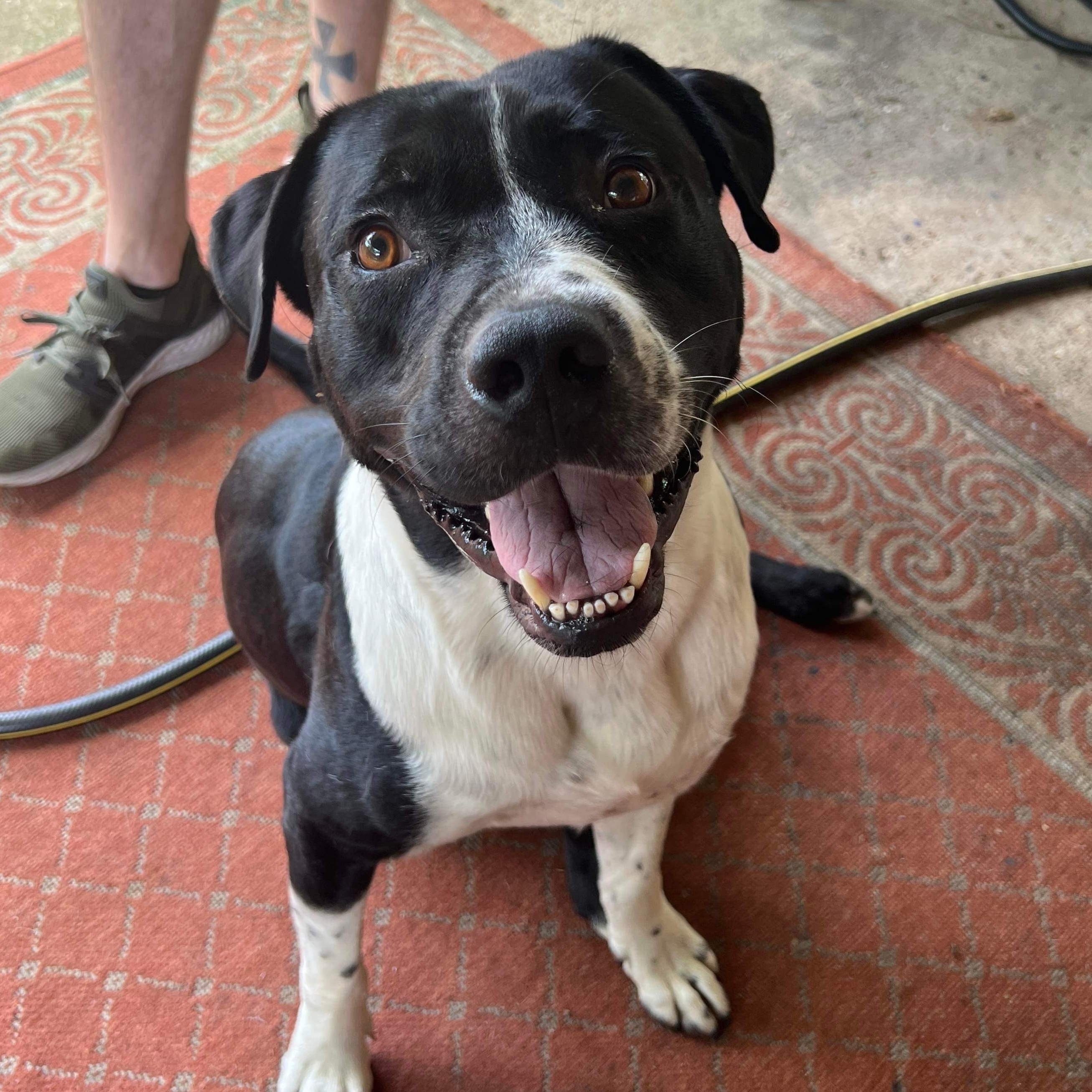 RITCHEY ROO (aka Richard)