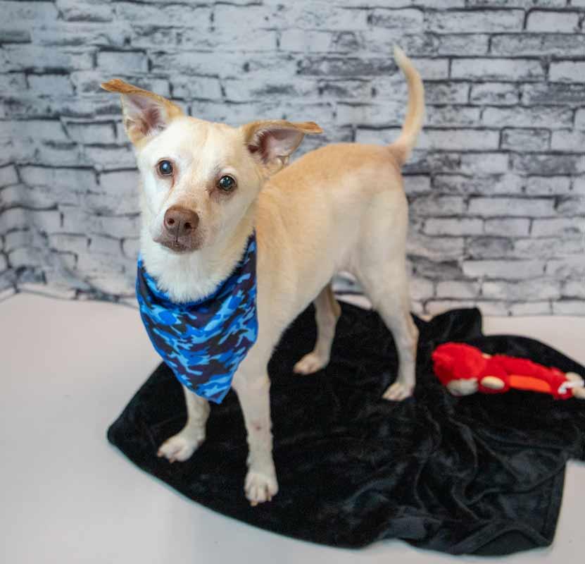 Greyson — thumbnail 4