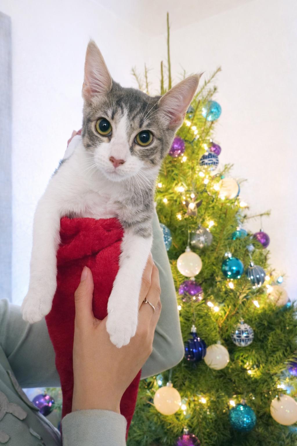 Lionel Richie thumbnail 3