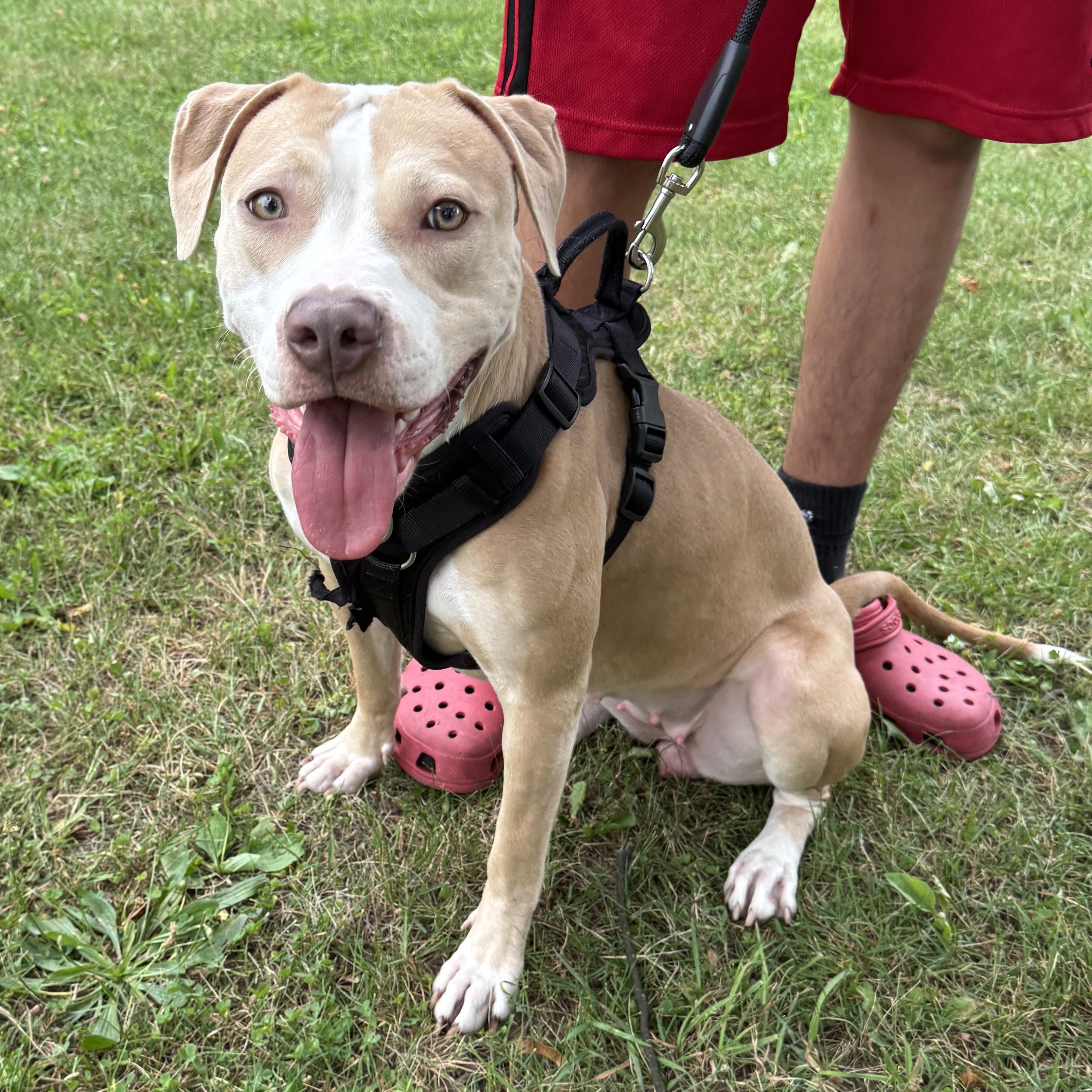 Great Young & Friendly Girl, this is HAZEL - COURTESY POSTING - Take a look!
