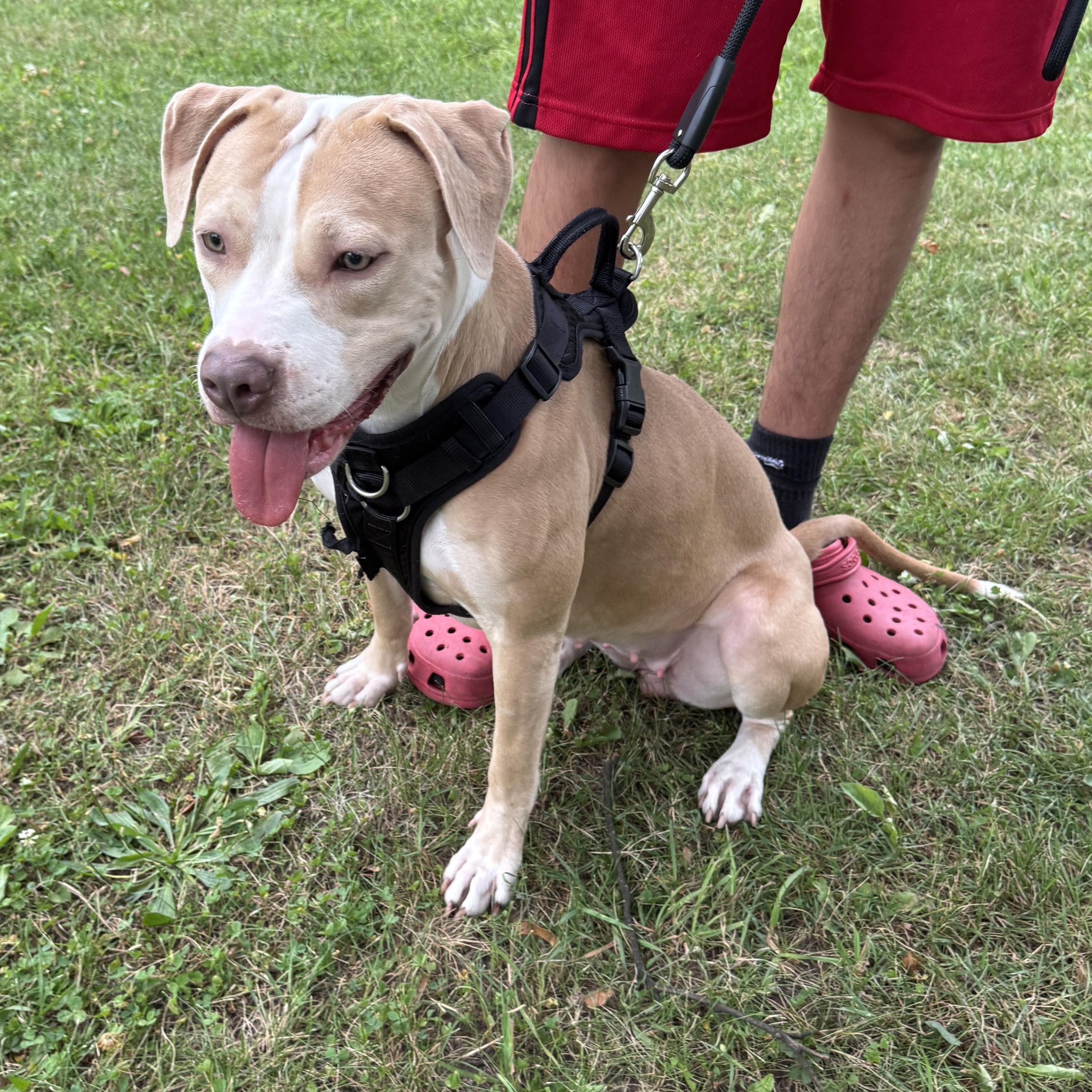 Great Young & Friendly Girl, this is HAZEL - COURTESY POSTING - Take a look! 4