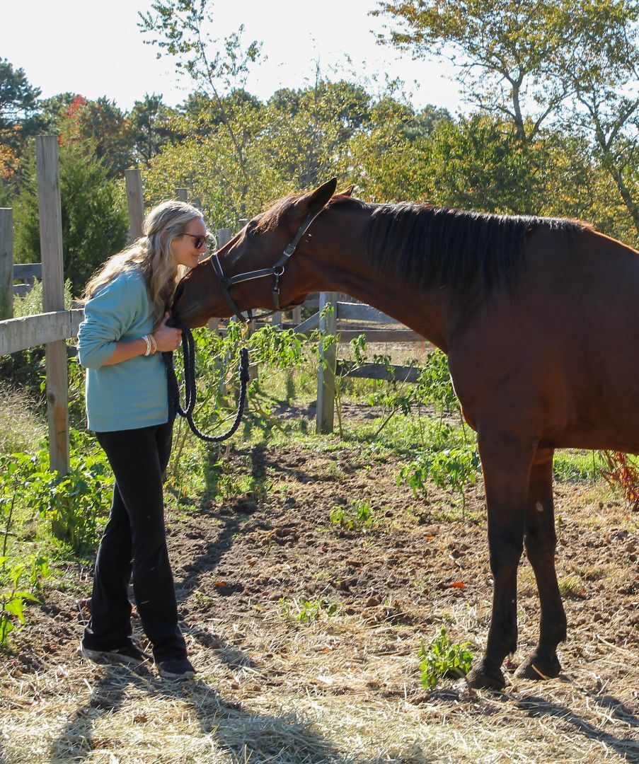 Rascal (companion/pasture pet- FREE), Adopted, Adult Male Standardbred.