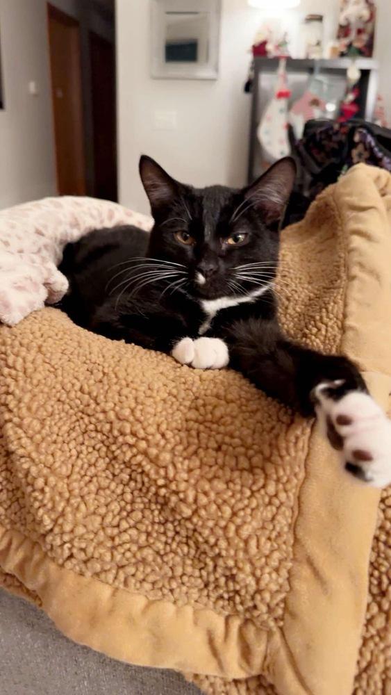 Tuna — thumbnail 3