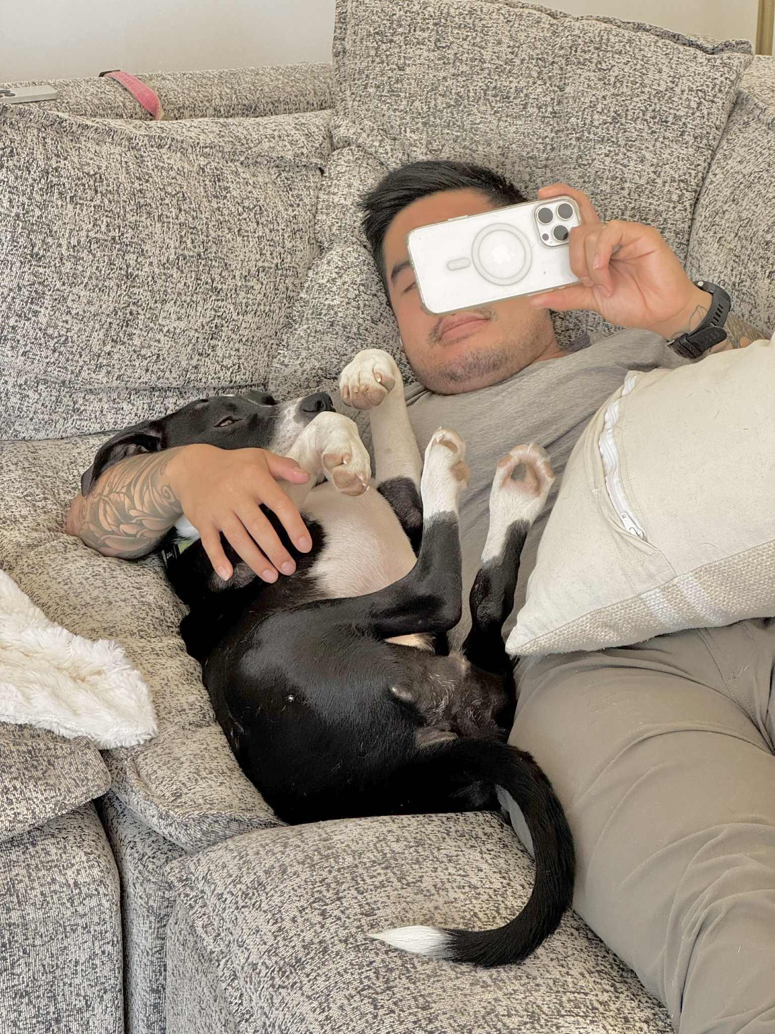 Maudie, a Adoptable Mixed Breed in Austin, TX image 2/6