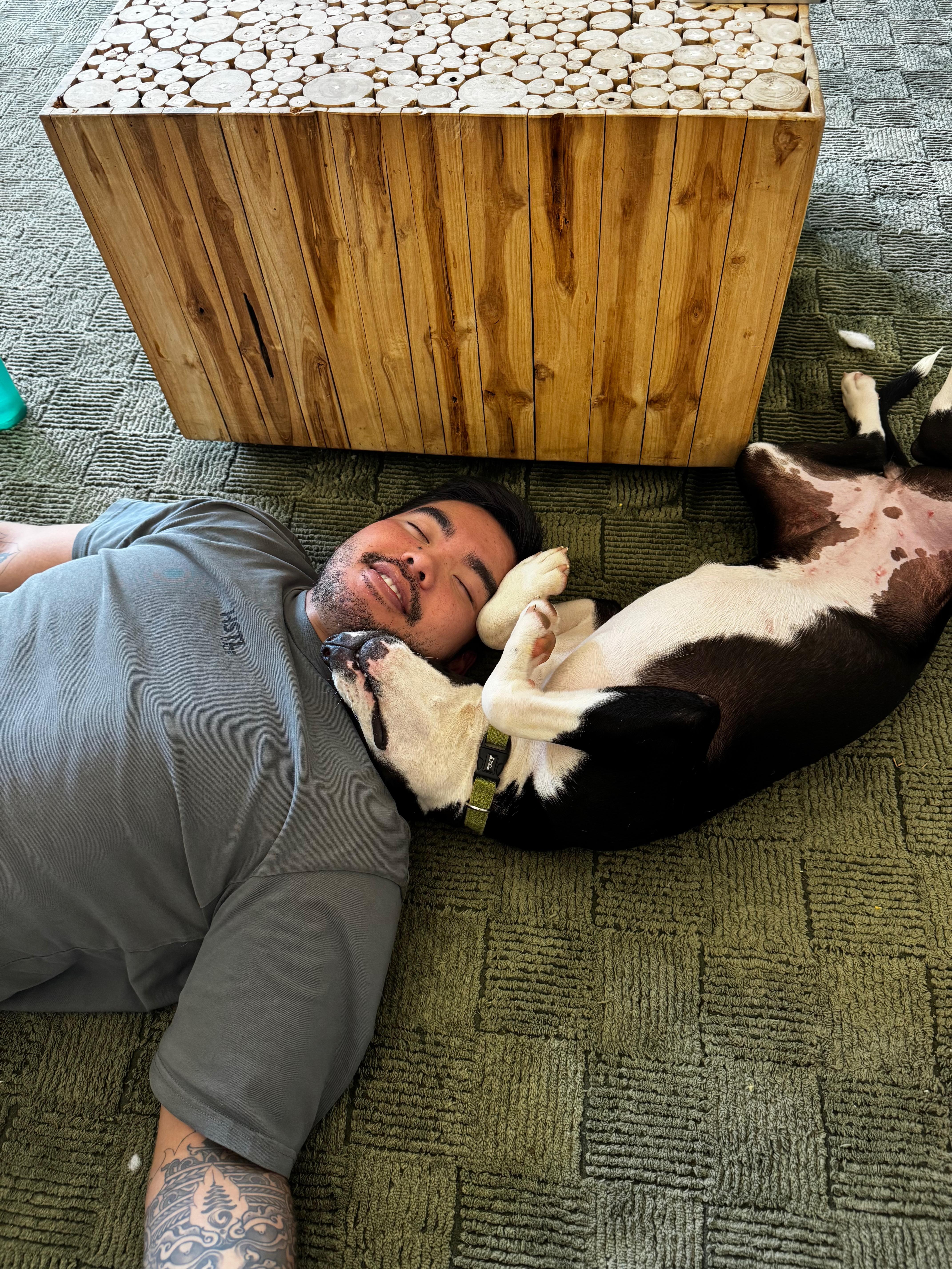 Maudie, a Adoptable Mixed Breed in Austin, TX image 3/6