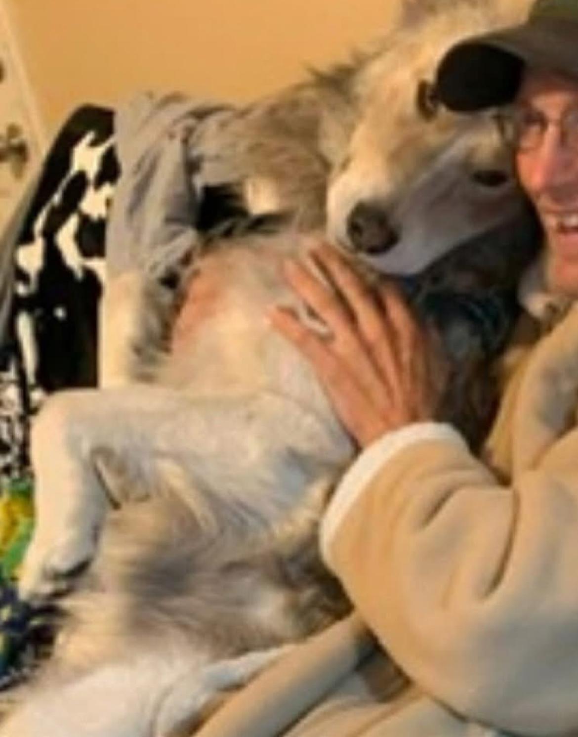 Leonard, a Adoptable mixed breed in Scottsdale, AZ image 1/3