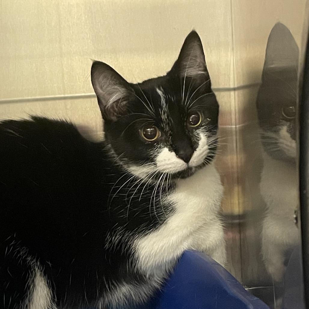 Carter — thumbnail 2