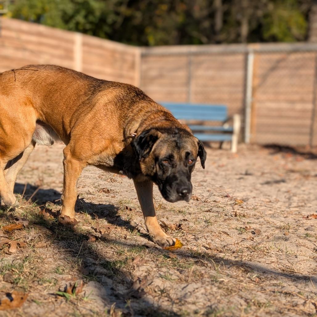 Mr.rodgers thumbnail 3