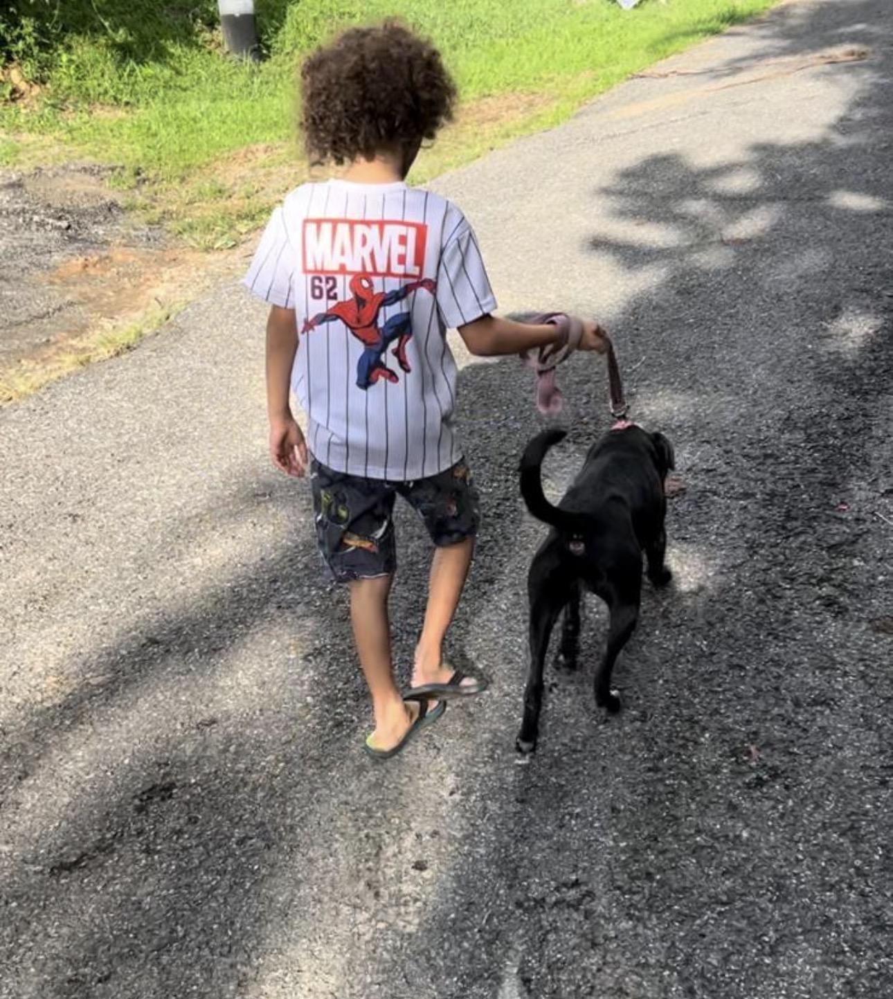 Enlarge VICTORIA, a Adoptable mixed breed in Annapolis, MD image 4/4