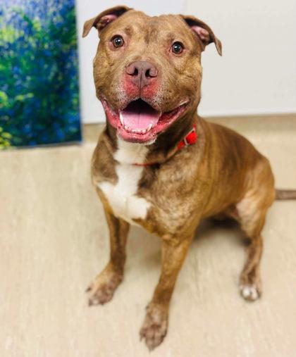 Legend — thumbnail 2