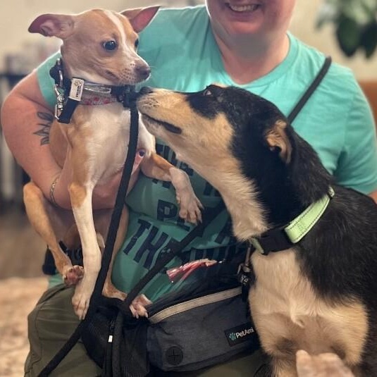 Stella Sweetie Pie — thumbnail 3