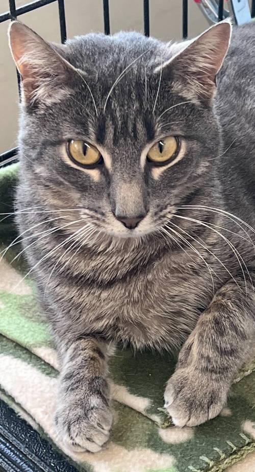Maximus, Willow Grove, PA (FCID# 02/20/2025 - 104) photo 2