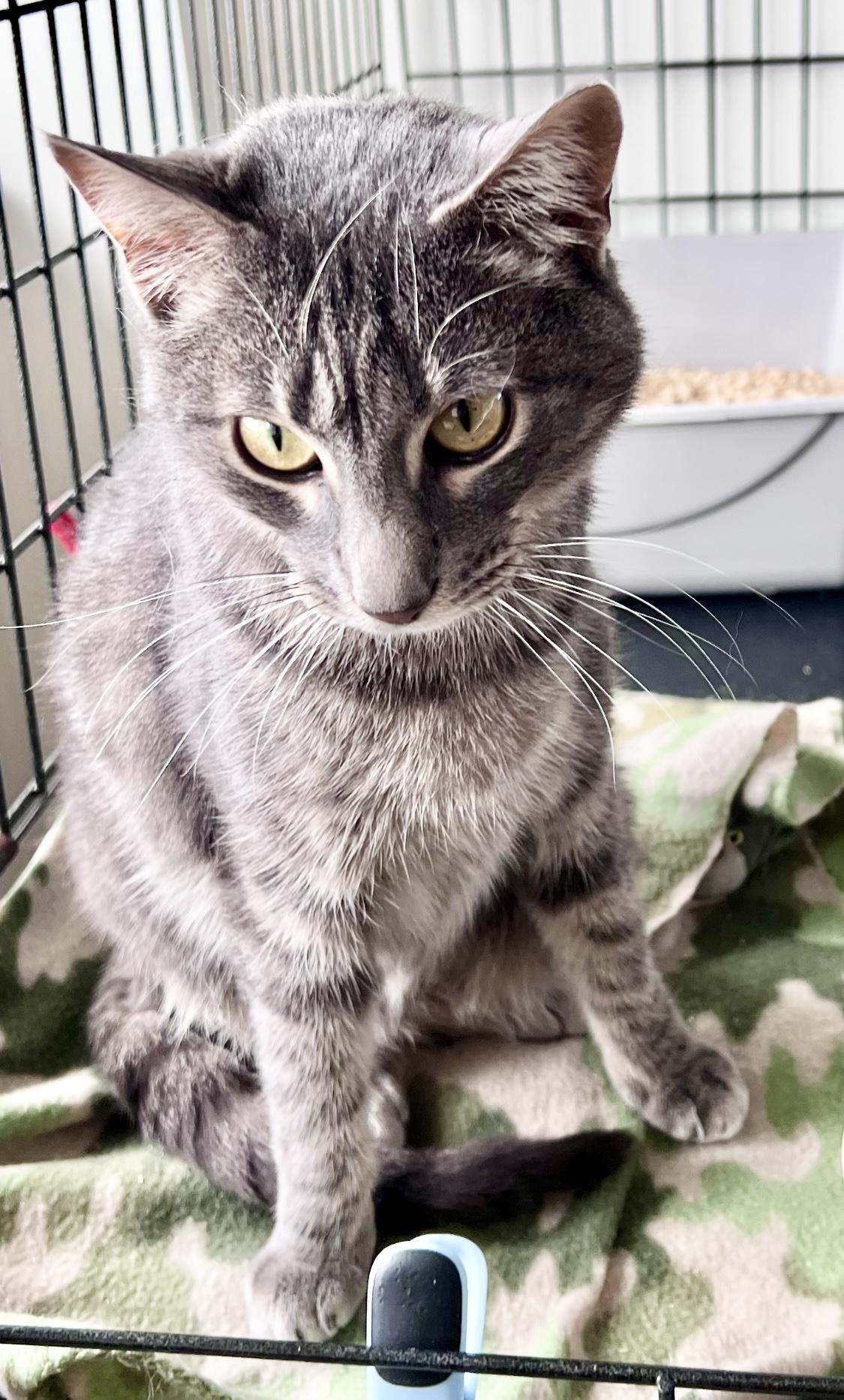 Maximus, Willow Grove, PA (FCID# 02/20/2025 - 104) photo 3
