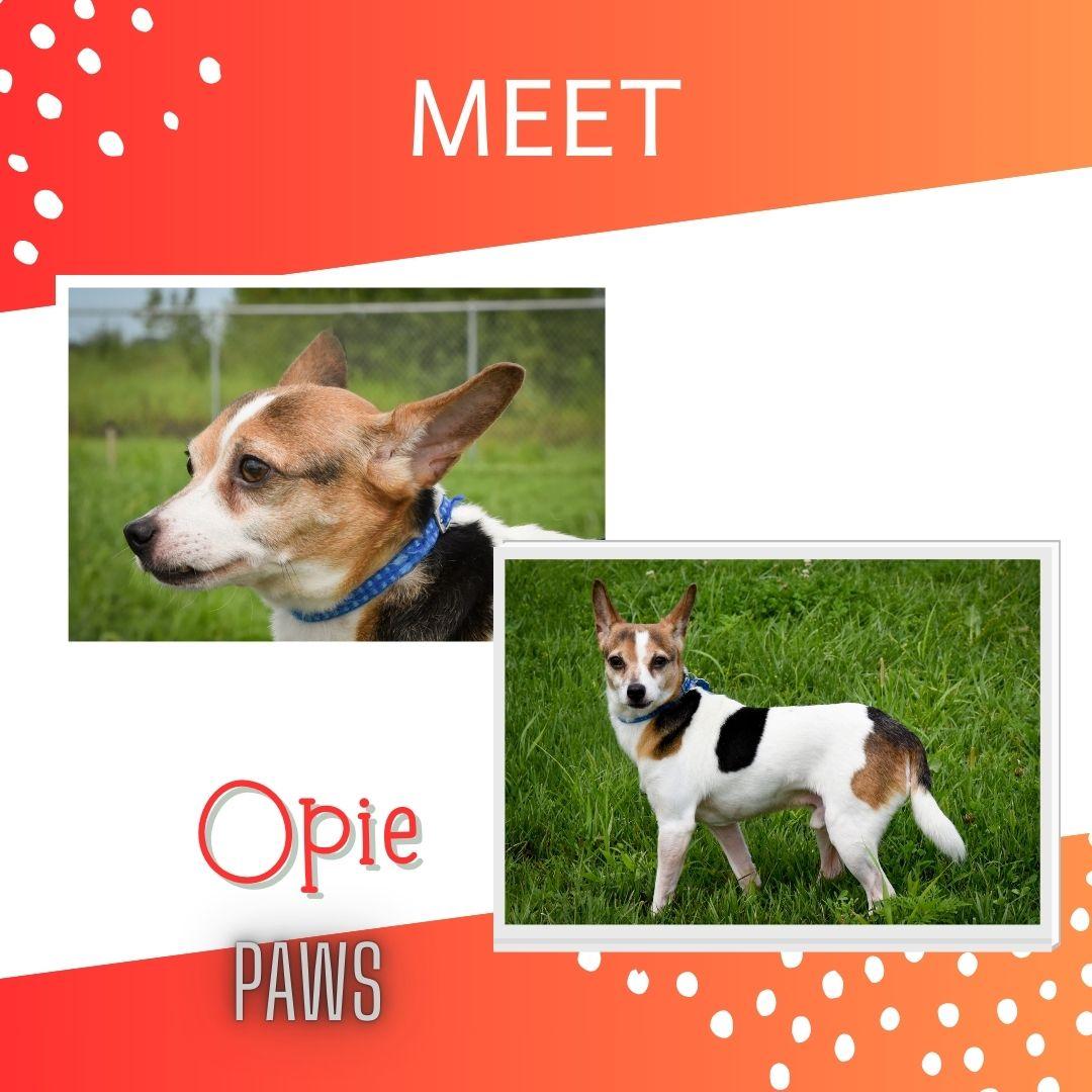Opie