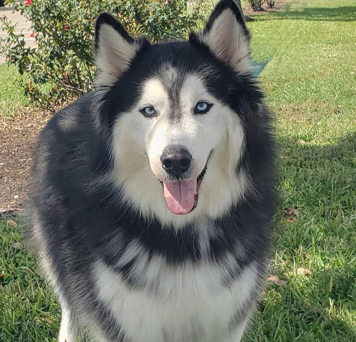 Charles #brother-of-Mary-Beth