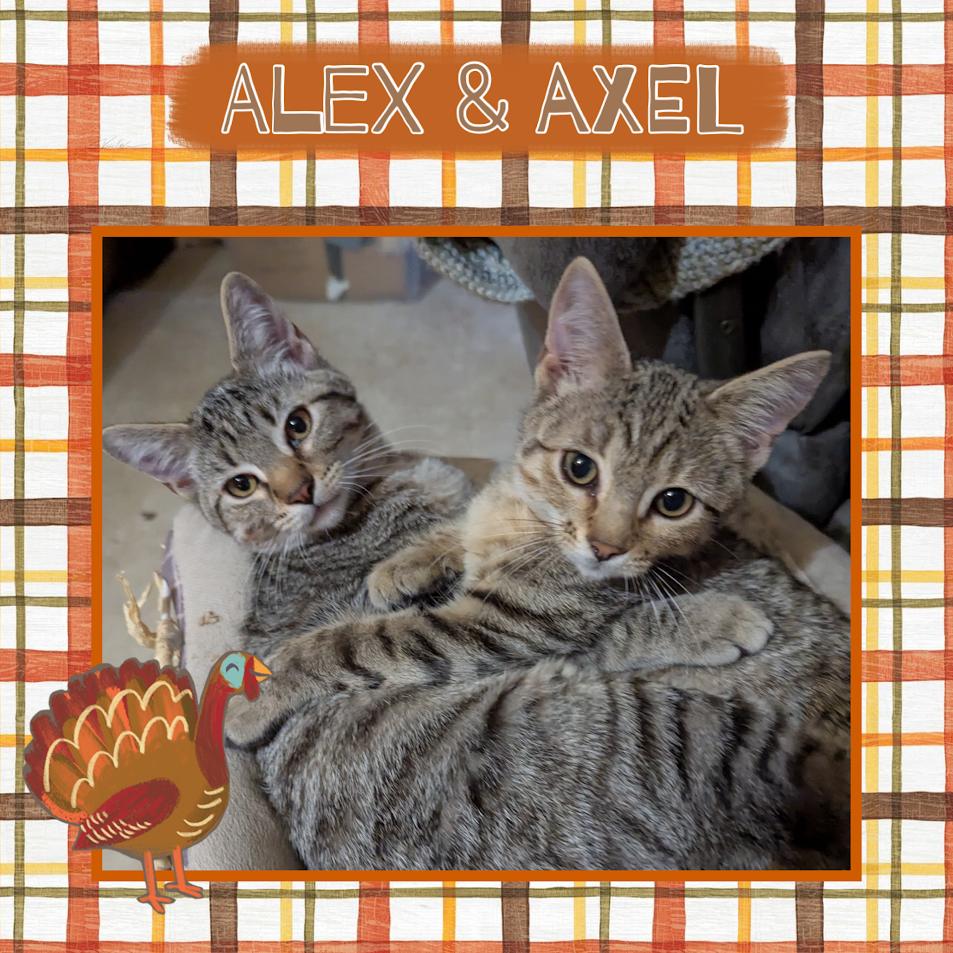 Alex & Axel