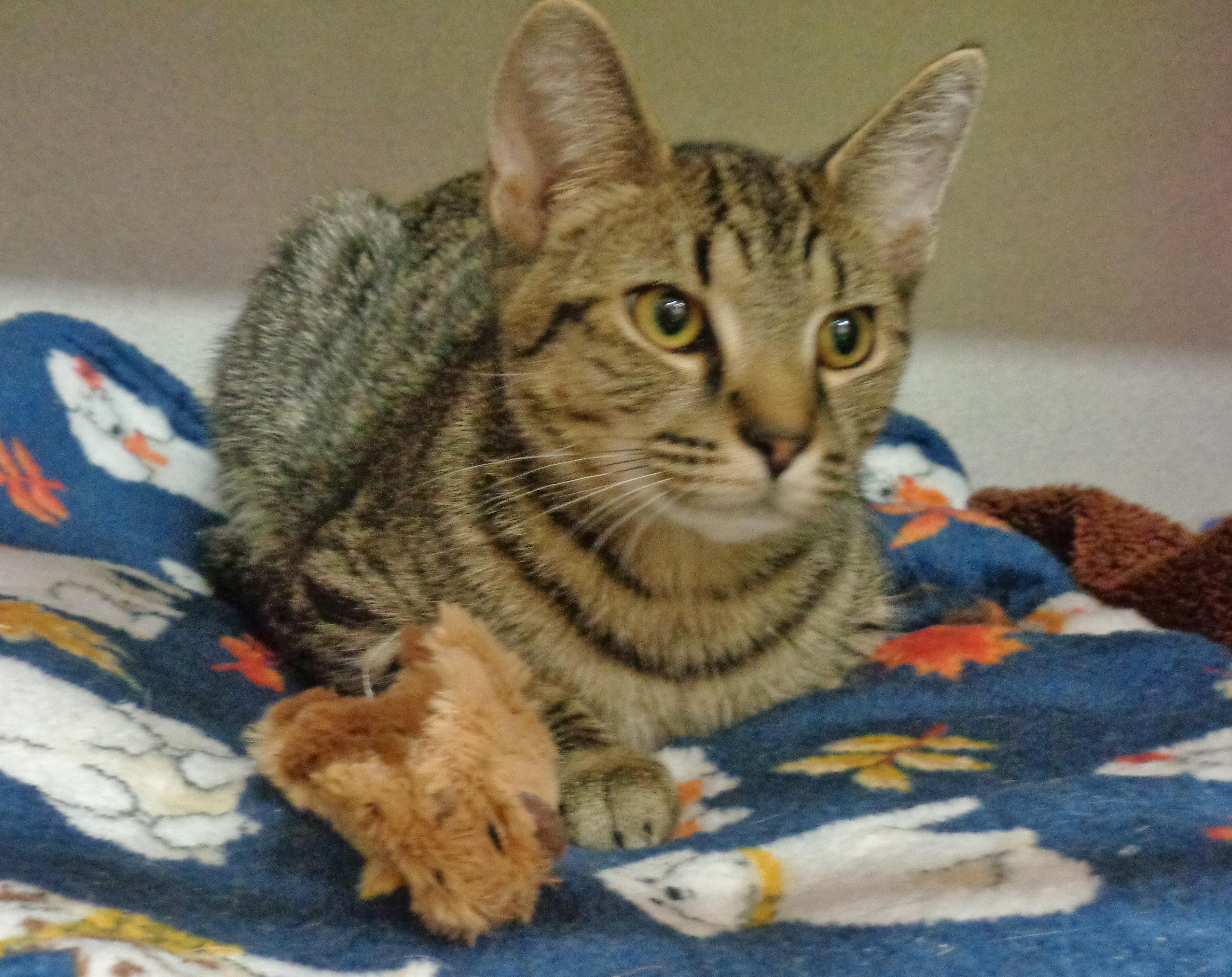 Geez Louise thumbnail 3