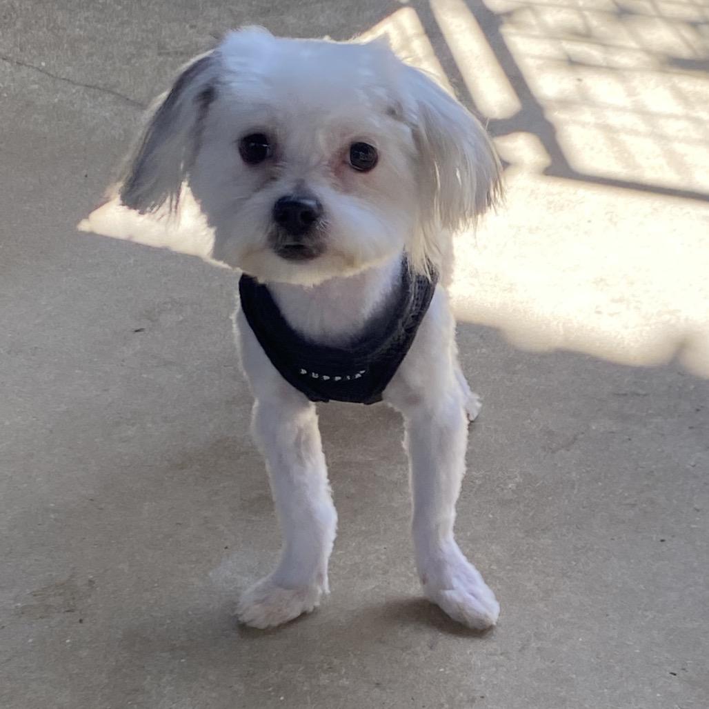 Jack — thumbnail 2