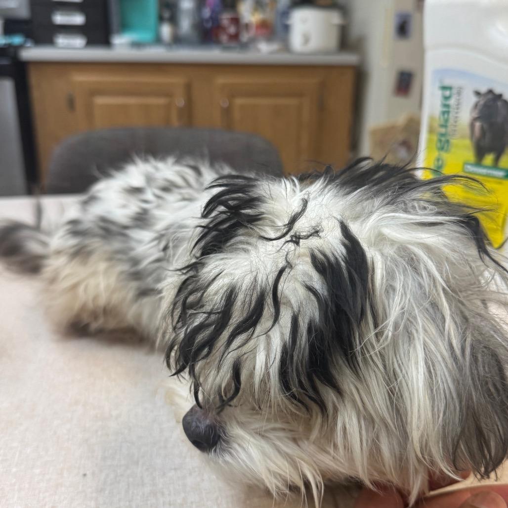 Jack — thumbnail 3