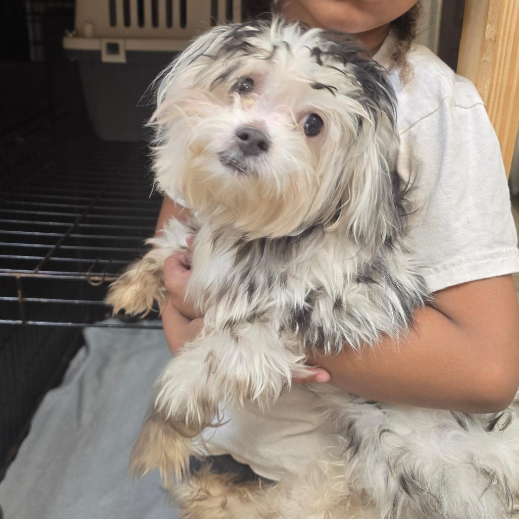 Jack — thumbnail 6