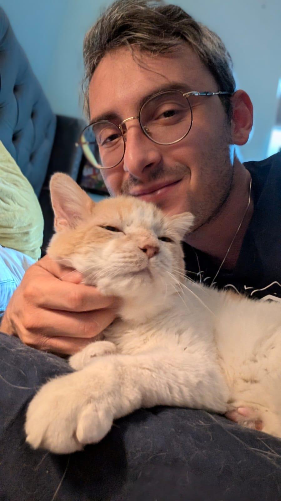 Amore, a Adoptable Domestic Short Hair in Miami Beach, FL image 1/6