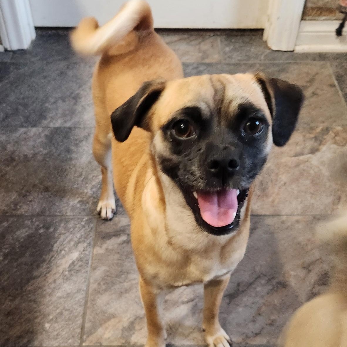 Lucy