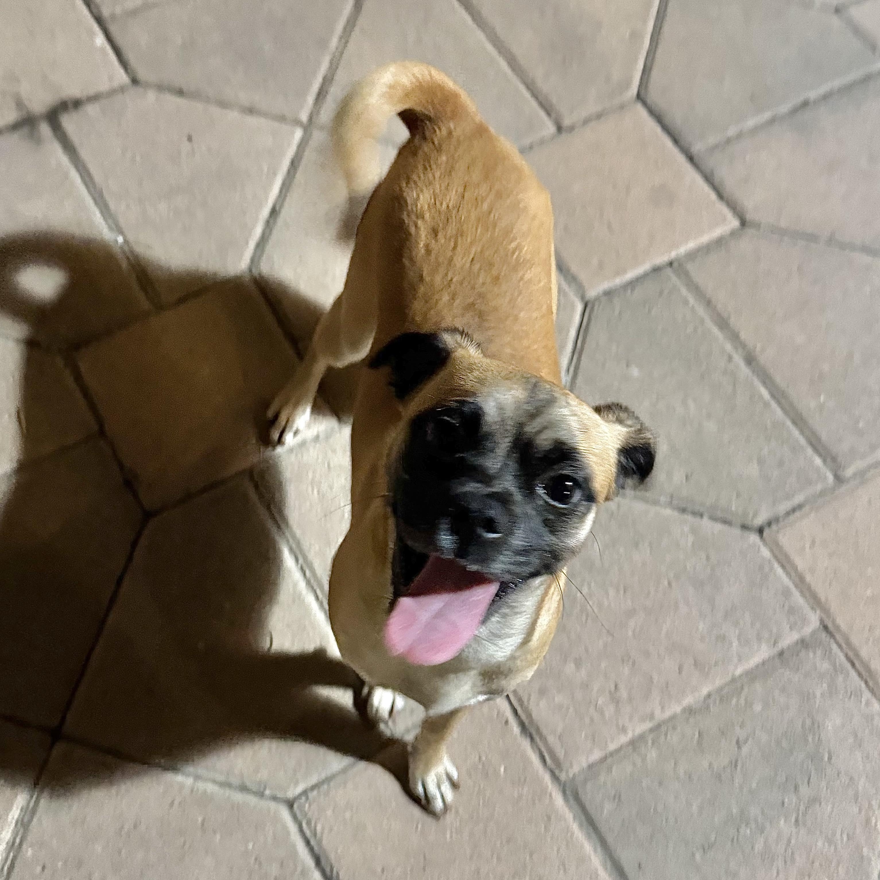 Lucy 5