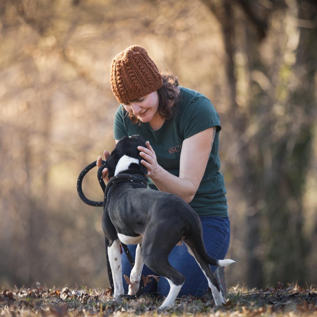 Enlarge "Little Man", a Adoptable mixed breed in Rossville, GA image 1/6