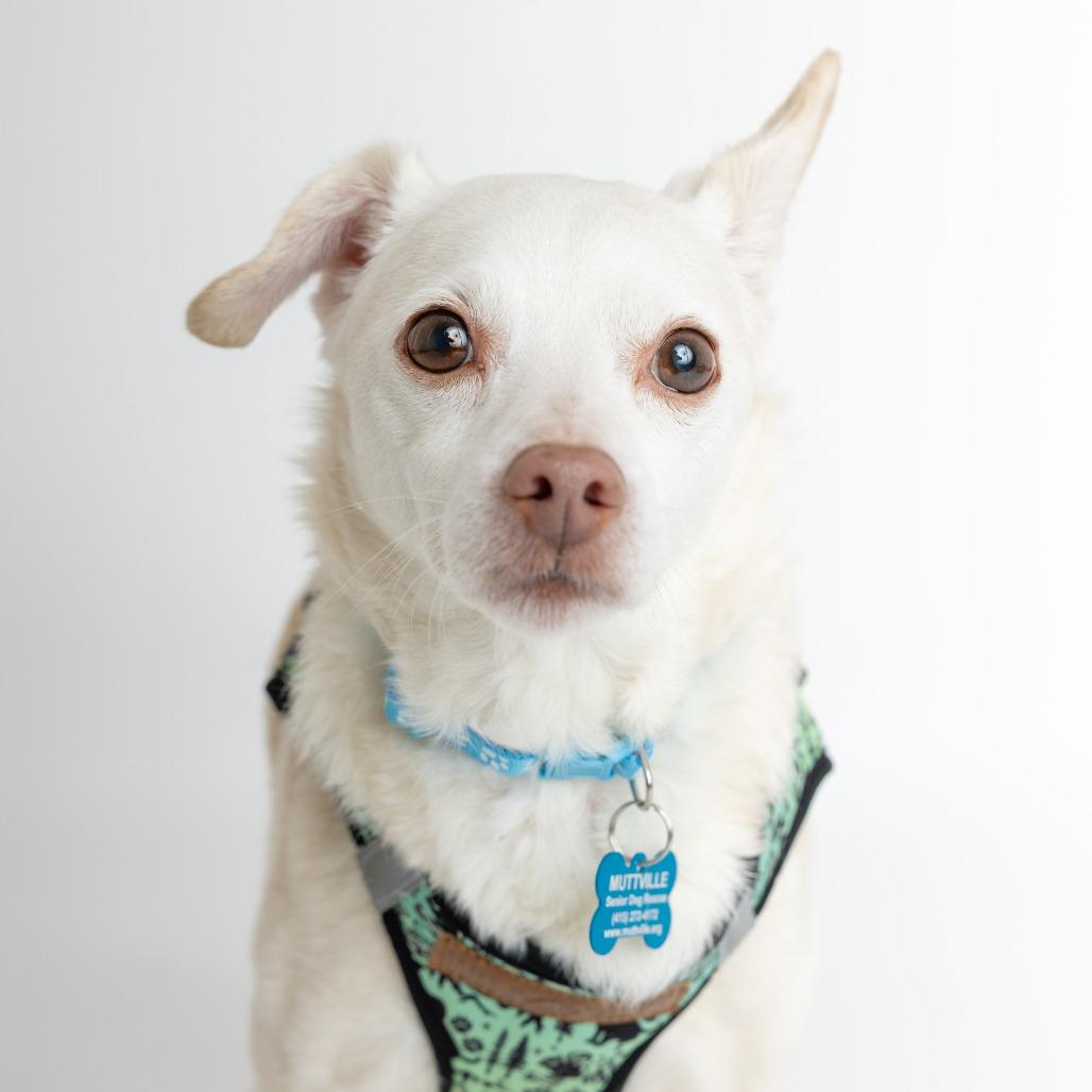 Sunny 13835 — thumbnail 2