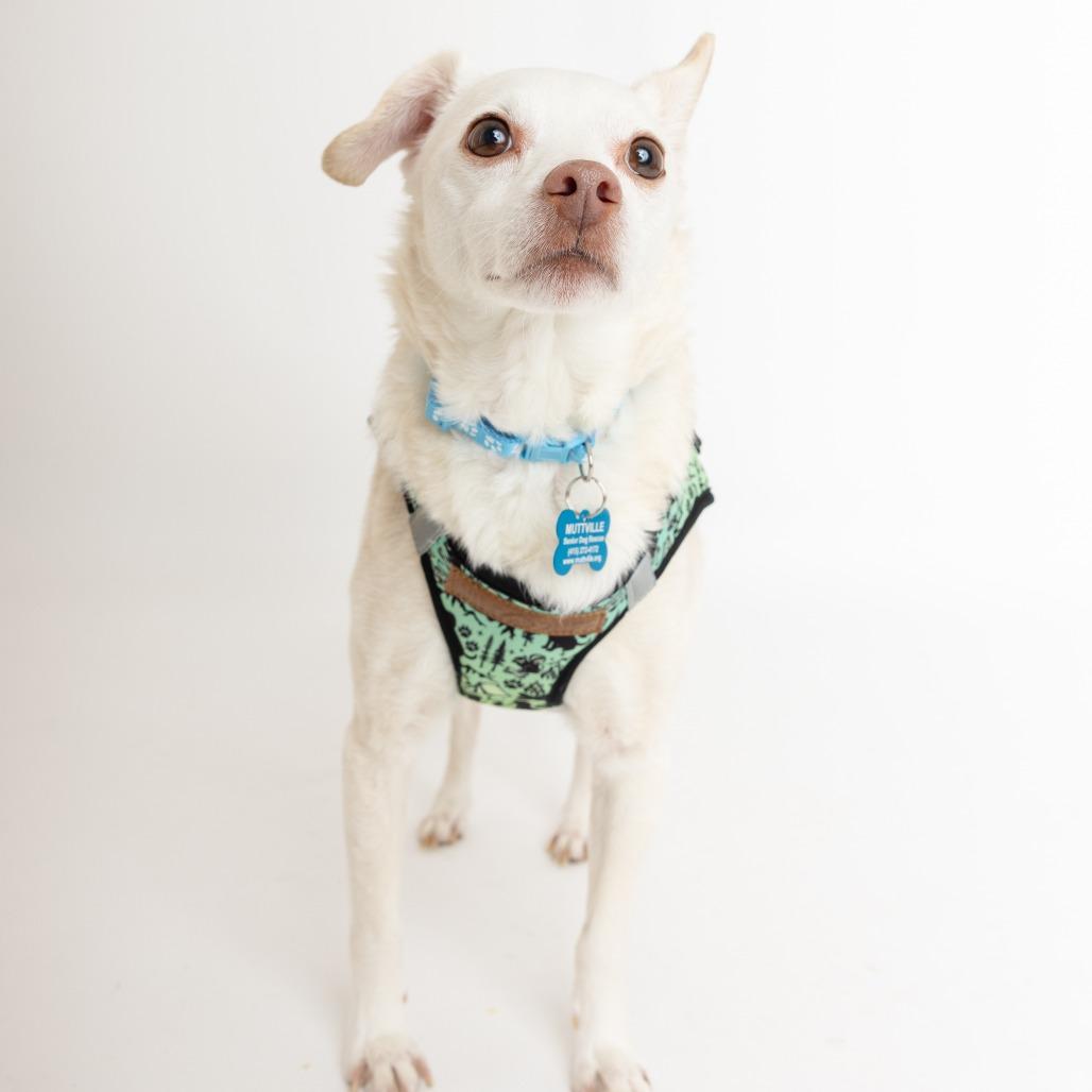 Sunny 13835 — thumbnail 3