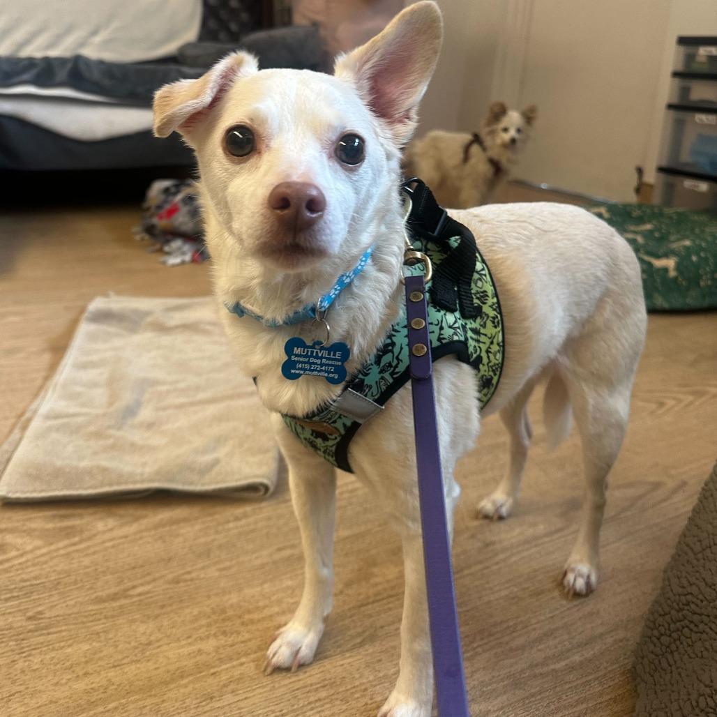 Sunny 13835 — thumbnail 4