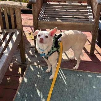 Sunny 13835 — thumbnail 5