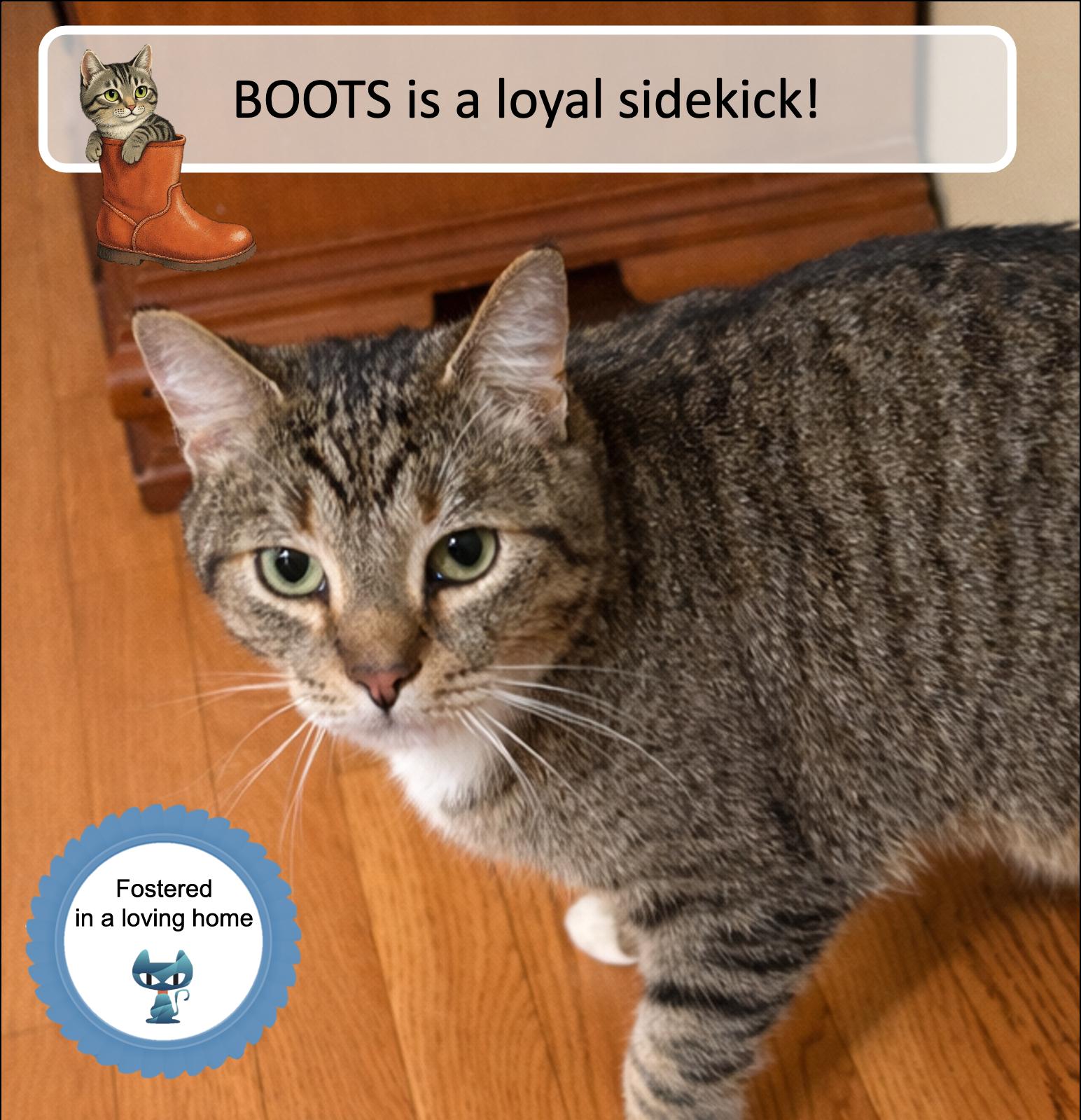 Boots thumbnail 2