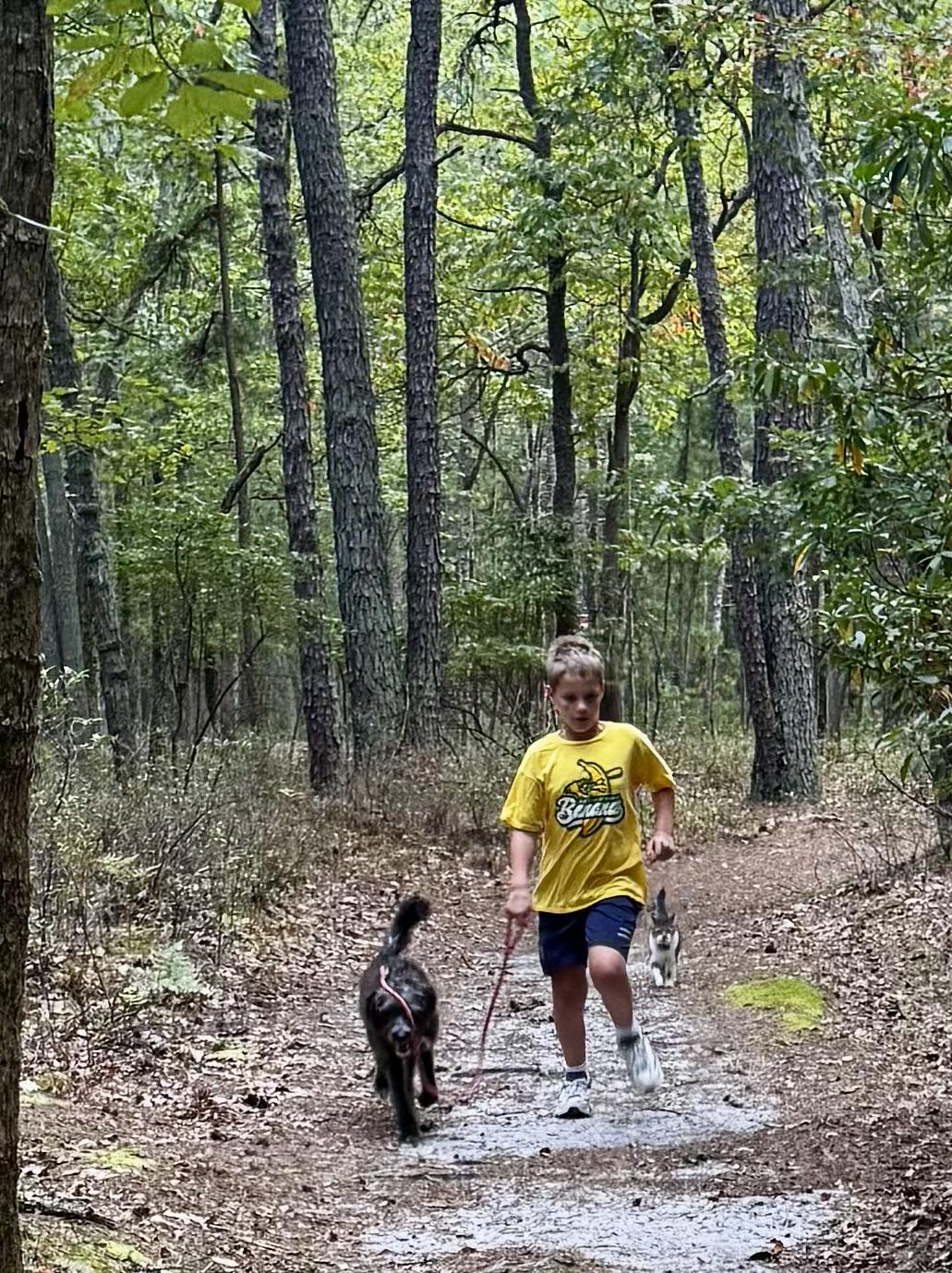 Enlarge Hershey, a Adoptable Mixed Breed in Medford, NJ image 4/5