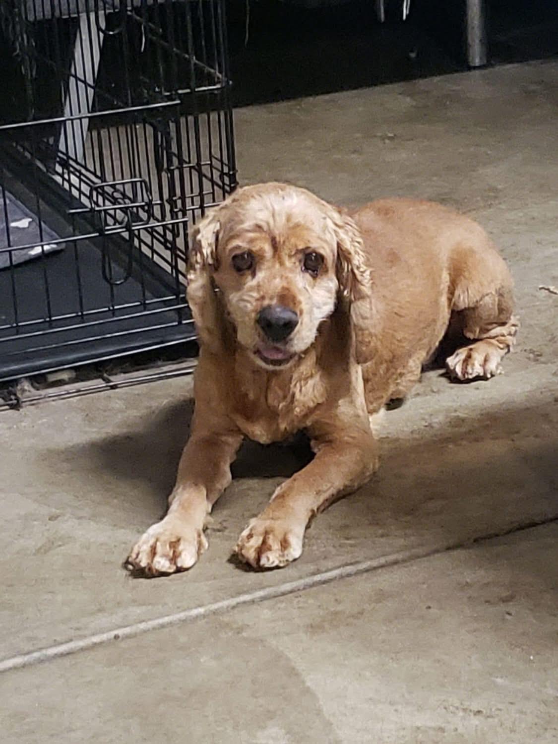 Charlie
