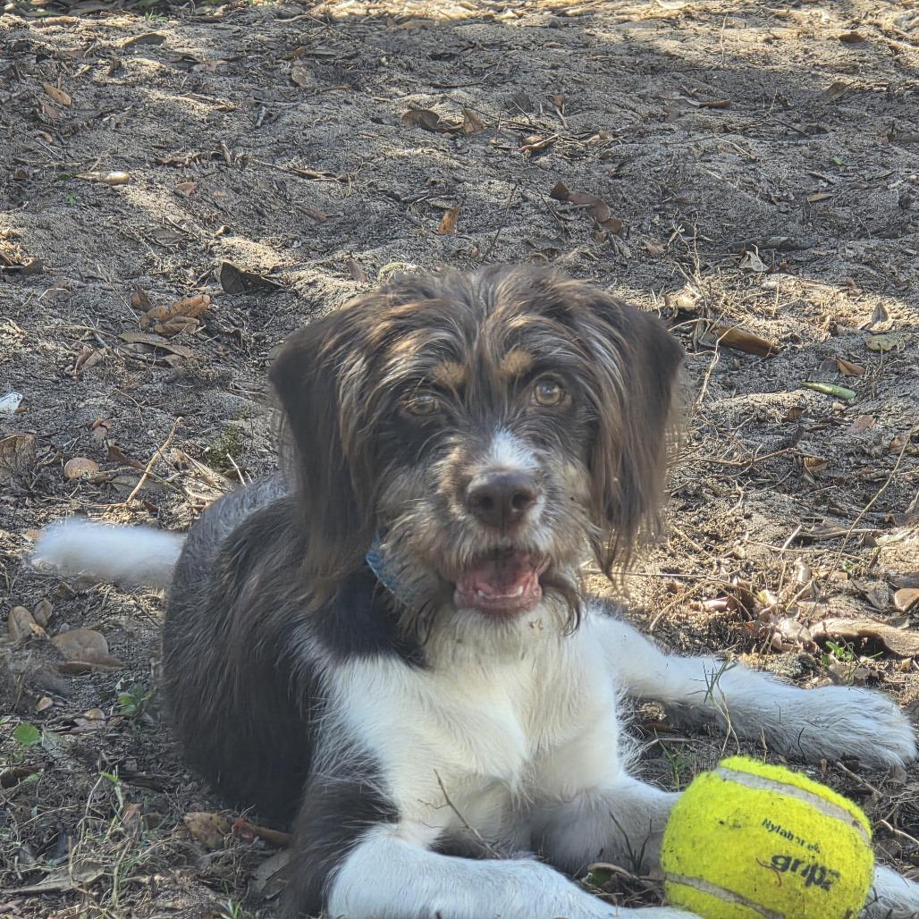 Mooka — thumbnail 2